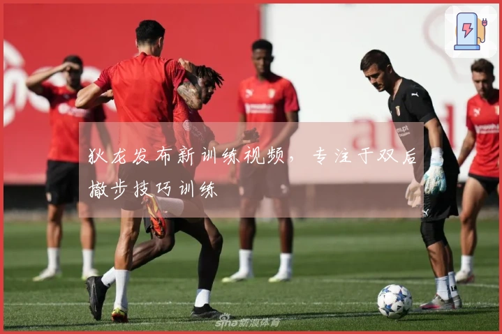 狄龙发布新训练视频，专注于双后撤步技巧训练