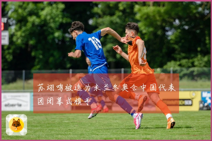 苏翊鸣被选为米兰冬奥会中国代表团闭幕式旗手
