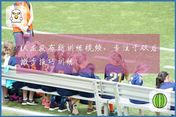 狄龙发布新训练视频,专注于双后撤步技巧训练
